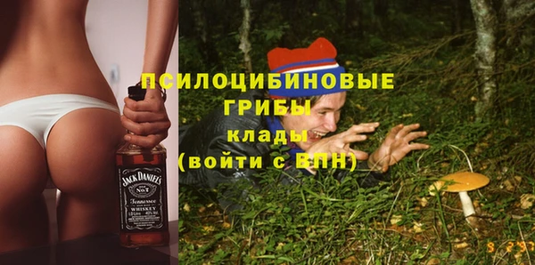 гидропоника Осинники