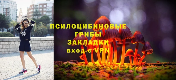 альфа пвп Нязепетровск