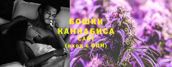 гидропоника Осинники
