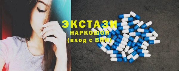 ECSTASY Богородицк